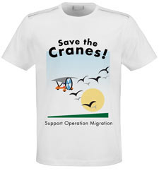 T-Shirt Design