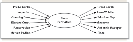 Cause and Effects Diagram