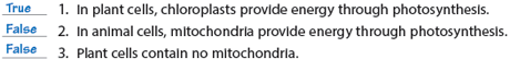 In plant cells, chloroplasts provide energy through photosynthesis.
In animal cells, mitochondria provide energy through photosynthesis.
Plant cells contain no mitochondria.